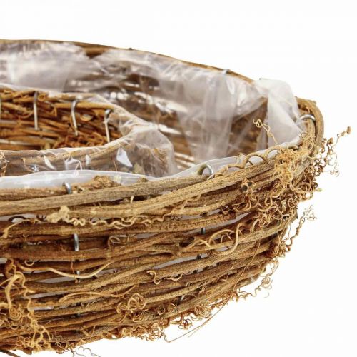 Floristik24 Vine plant ring, plant bowl Ø35/30cm set of 2