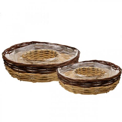 Floristik24 Plant ring made of willow, plant bowl Ø35/30cm set of 2