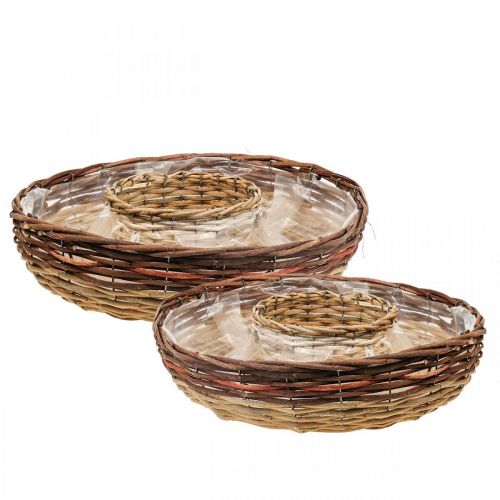 Floristik24 Plant ring made of willow, plant bowl Ø44/38cm set of 2