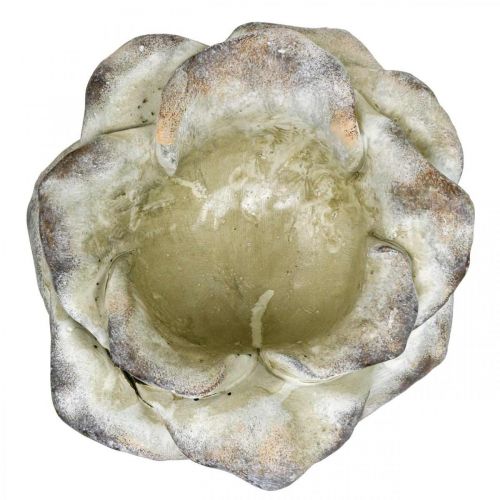 Floristik24 Rose blossom for planting, funeral flowers, stone rose, concrete decoration gray, apricot, violet Ø11cm L22cm H9cm