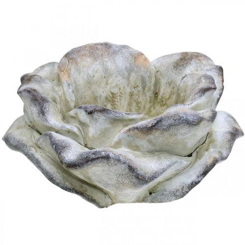 Floristik24 Concrete rose, garden decoration, plant rose, funeral flowers gray, apricot, violet Ø12cm L26.5cm H11cm