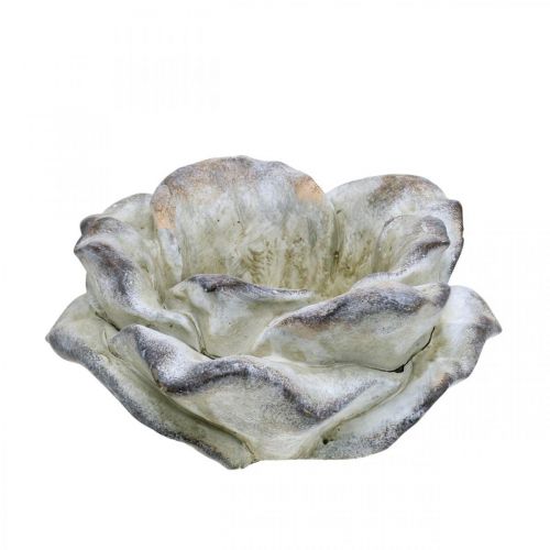 Floristik24 Rose blossom for planting, funeral flowers, stone rose, concrete decoration gray, apricot, violet Ø11cm L22cm H9cm