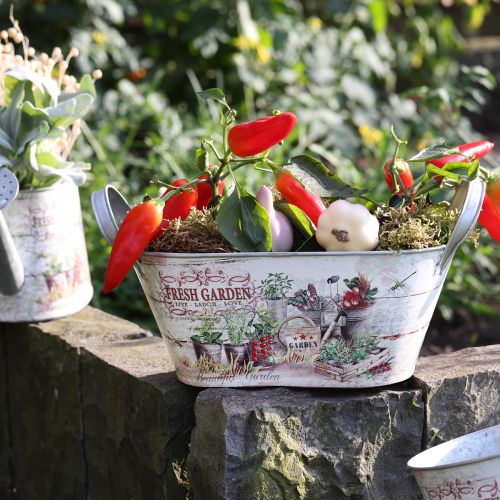 Product Metal planter oval Fresh Garden 34.5x14x15.5cm
