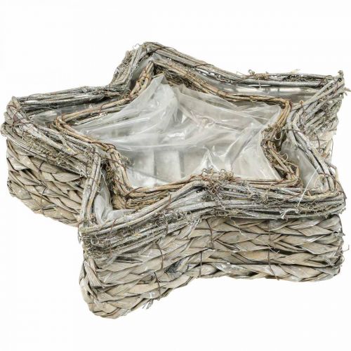 Product Plant bowl star, planter seagrass Ø32/23.5cm set of 2