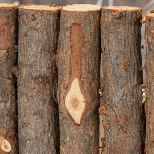 Product Plant bowl square natural birch branches 14.5/20cm set of 2