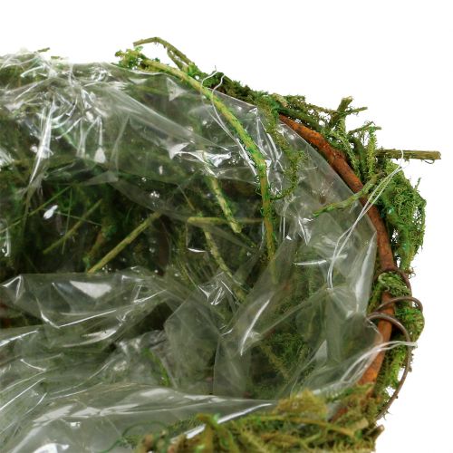 Floristik24 Planting bowl with moss Ø16cm H9cm - 10cm Green 3pcs