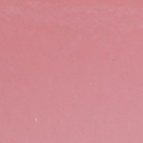 Product Plant bowl oval pink decorative bowl plastic 20×10×11cm 3pcs