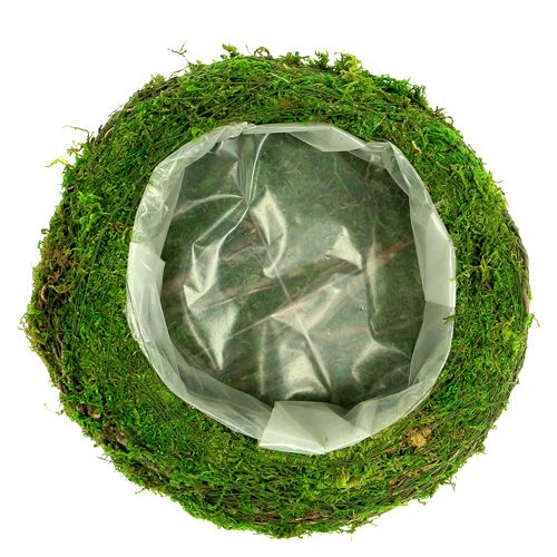 Floristik24 Planting bowl moss with vine Ø 25cm