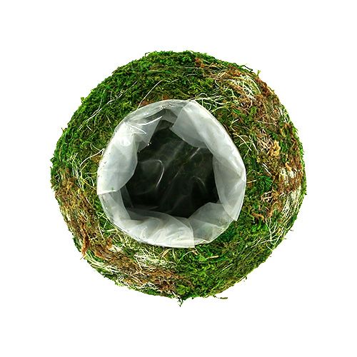 Floristik24 Plant bowl moss bowl Ø18cm 2pcs
