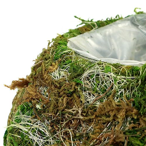 Product Plant bowl moss bowl Ø18cm 2pcs