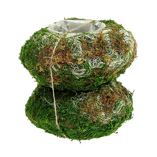 Floristik24 Plant bowl moss bowl Ø18cm 2pcs