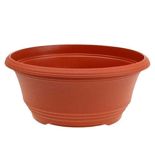 Floristik24 Plastic plant bowl Ø27cm terracotta 1 pc
