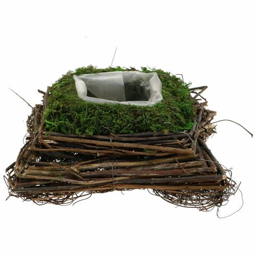 Product Plant cushion rattan, moss 20cm x 20cm H8cm