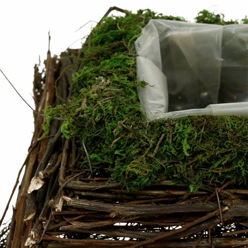 Product Plant cushion rattan, moss 20cm x 20cm H8cm