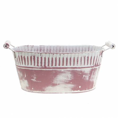 Floristik24 Planter bowl oval lilac white washed 28cm x 17cm H12cm