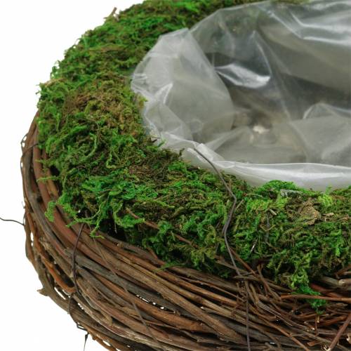 Floristik24 Plant bowl rattan, moss Ø26cm H9cm