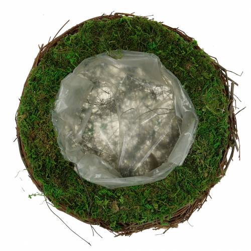 Floristik24 Plant bowl rattan, moss Ø26cm H9cm