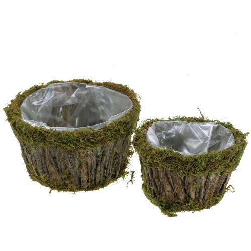 Plant bowl moss/bark round Ø15/20cm set of 2
