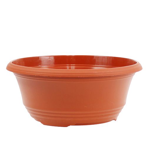 Floristik24 Plant bowl plastic Ø23cm H10cm, 1pc