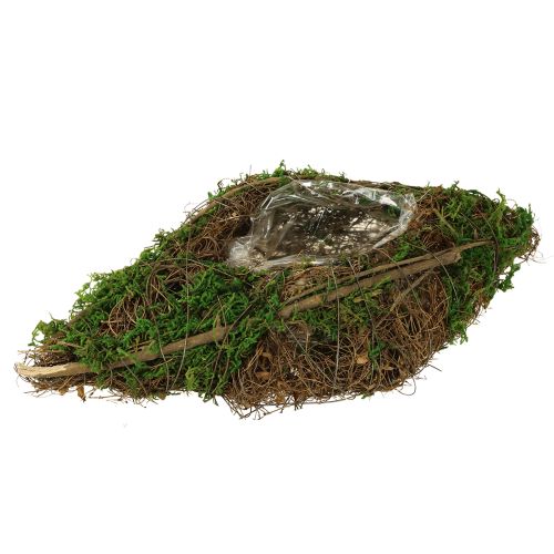 Planting boat vines and moss planting bowl 31×17×6cm