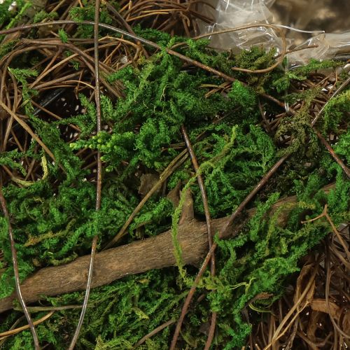 Product Planting boat vines and moss planting bowl 31×17×6cm