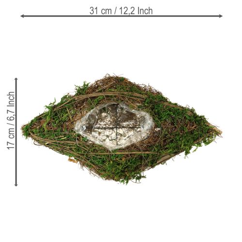 Product Planting boat vines and moss planting bowl 31×17×6cm