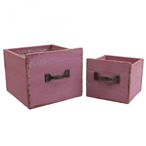 Product Plant drawer plant box wood purple 12.5/16cm set of 2