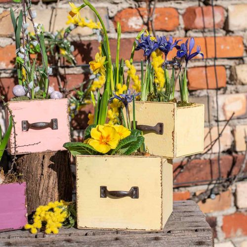 Floristik24 Plant drawer plant box wood yellow 12.5/16cm set of 2