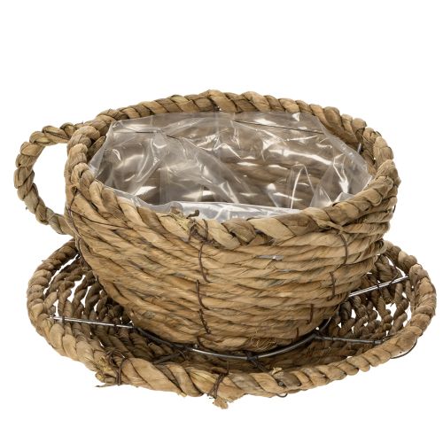 Product Teacup basket for natural home decor and charming ambience 15cm