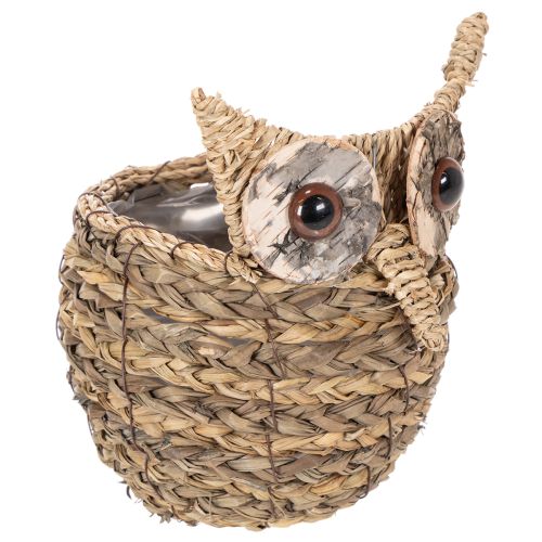 ProductName  
Handwoven Owl Basket for Home Decoration – 18cm  

ProductDescription  
<h2>Handwoven Owl Basket for Home Decoration</h2>  
<p>Crafted from natural water hyacinth materials, this decorative owl-shaped basket makes a charming addition to any  buy online | Floristik24.co.uk
