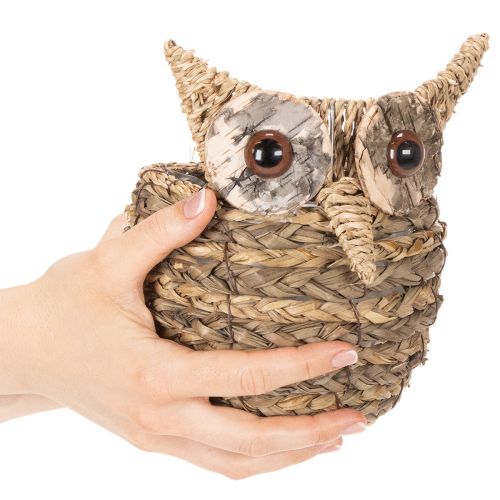 ProductName  
Handwoven Owl Basket for Home Decoration – 18cm  

ProductDescription  
<h2>Handwoven Owl Basket for Home Decoration</h2>  
<p>Crafted from natural water hyacinth materials, this decorative owl-shaped basket makes a charming addition to any  | Floristik24.co.uk