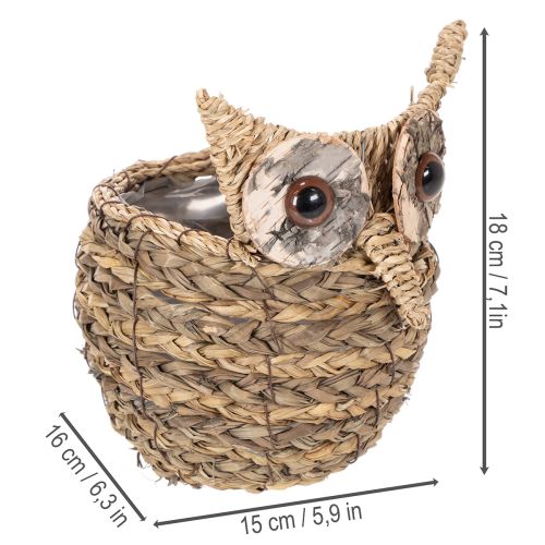 ProductName  
Handwoven Owl Basket for Home Decoration – 18cm  

ProductDescription  
<h2>Handwoven Owl Basket for Home Decoration</h2>  
<p>Crafted from natural water hyacinth materials, this decorative owl-shaped basket makes a charming addition to any  | Floristik24.co.uk