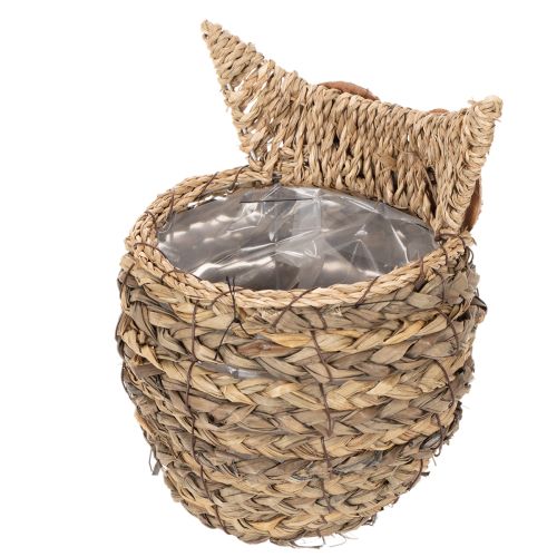 ProductName  
Handwoven Owl Basket for Home Decoration – 18cm  

ProductDescription  
<h2>Handwoven Owl Basket for Home Decoration</h2>  
<p>Crafted from natural water hyacinth materials, this decorative owl-shaped basket makes a charming addition to any  | Floristik24.co.uk