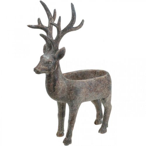 Floristik24 Plant pot deer decorative reindeer flower pot H39.5cm