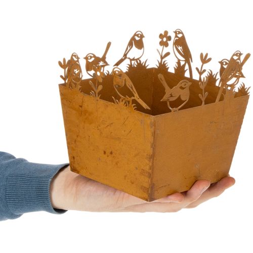 Metal plant pot with birds, planter, spring, rust finish, 15.5cm high | Floristik24.co.uk