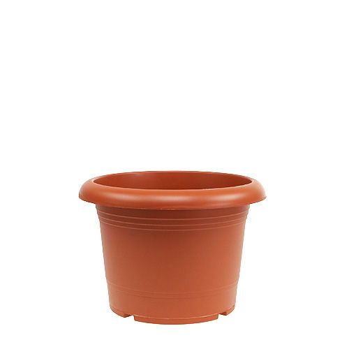 Floristik24 Plant pot &quot;Oliver&quot; terracotta Ø15cm