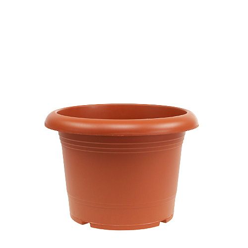 Floristik24 Plant pot "Oliver" terracotta Ø18cm, 1p