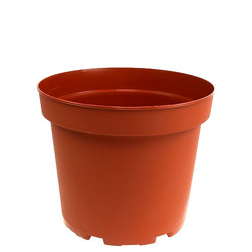 Floristik24 Plant Pot Plastic Ø17cm 10pcs