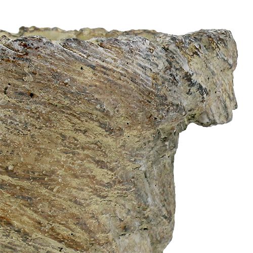 Floristik24 Plant pot tree trunk Ø11.5cm H14cm 2pcs