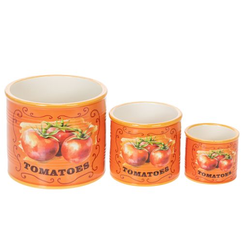 Product Tomato Plant Pot Set, Ceramic Decorative Flower Pots for Kitchen and Retro Decor, 14cm, Set of 3