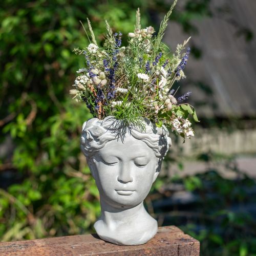 Floristik24 Plant pot bust white washed plant head concrete Ø10cm H21cm