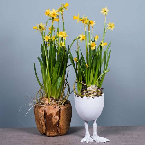 Floristik24 Flower Pot Eggshell on Legs White Ø13cm H21cm