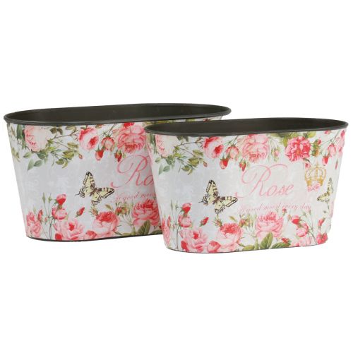 Floristik24 Plant pot roses, decorative vessel, flower tray 21.5cm / 18.5cm set of 2