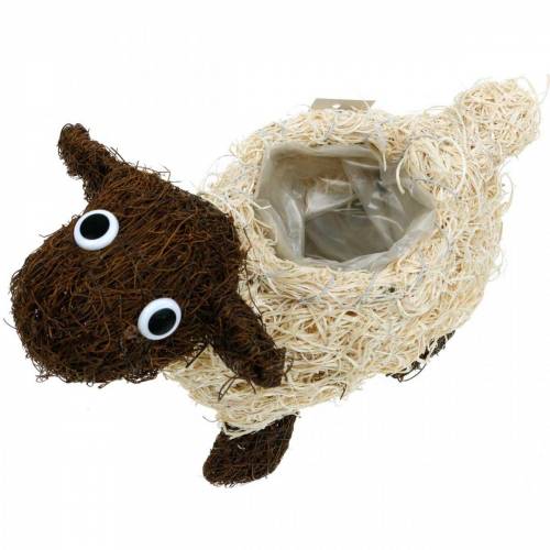 Floristik24 Plant pot sheep vine natural, bleached 26 × 11cm H19.5cm