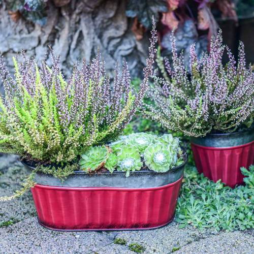 Floristik24 Plant pot oval red, silver zinc 26 × 13cm H11cm