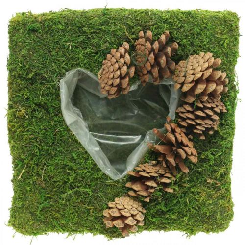Plant cushion heart moss and cones square 25 × 25cm