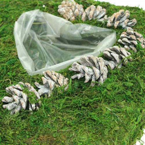 Product Plant cushion heart moss and cones, washed white 25 × 25cm