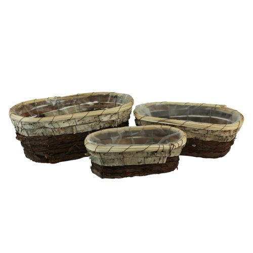 Plant tray, natural wood, 3-colored, L29.5/25/23cm, set of 3