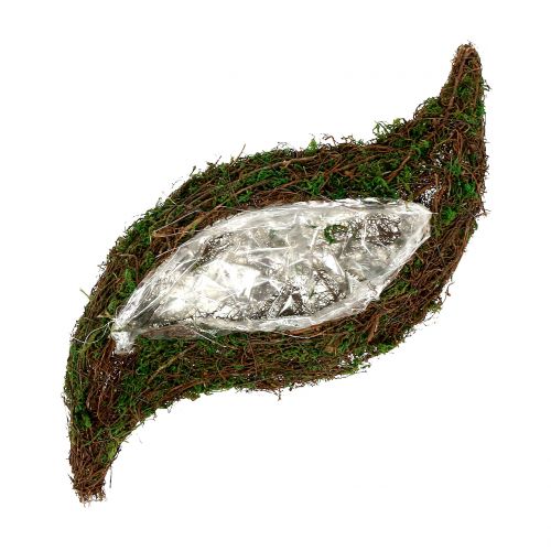 Floristik24 Plant wave moss with vine 28cm x30cm