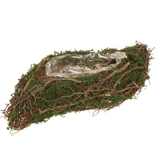 Plant Wave Vines Small Plant Bowl with Moss 31×15×7cm